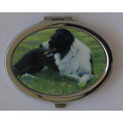 Border Collie 2 compact