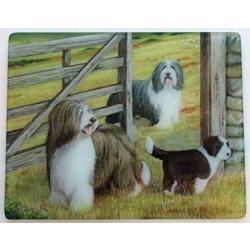 Bearded Collie 4 Tempered Glass Cutting Board