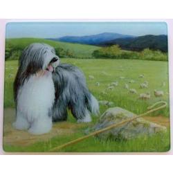 Bearded Collie 5 Tempered Glass Cutting Board