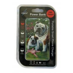 Bulldog power bank package