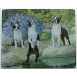 Boston Terrier 1 Tempered Glass Cutting Board