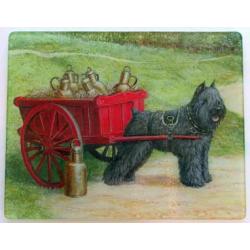 Bouvier 1 Tempered Glass Cutting Board