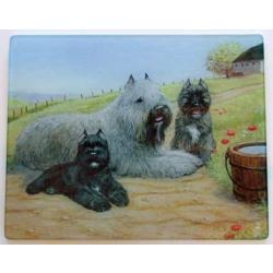 Bouvier 4 Temepered Glass Cutting Board