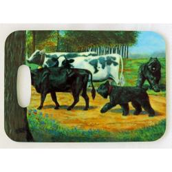 Bouvier #2 luggage tag