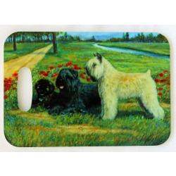 Bouvier #3 luggage tag