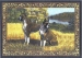 Boxer Set of 4 Tapestry Placemats