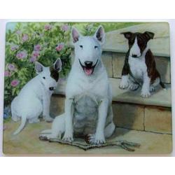 Bull Terrier Tempered Glass Cutting Board #1