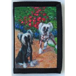Chinese Crested 1B trifold
