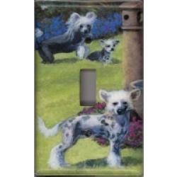 Chinese Crested 2A SLSP-P