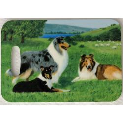 Collie 1 luggage tag