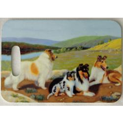 Collie 2 luggage tag