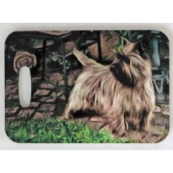 Cairn 4A luggage tag