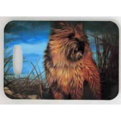Cairn 5 luggage tag