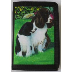 English Springer 1A trifold