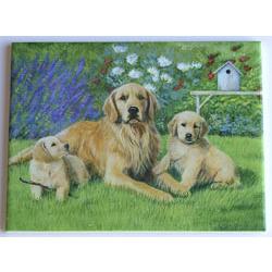 Golden Retriever 1 Ceramic Picture Tile