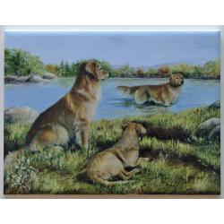 Golden Retriever #2 6X8 Ceramic Picture Tile