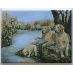 Golden Retriever 4 - 6X8 Ceramic Picture Tile