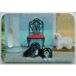 Havanese 3 Luggage Tag