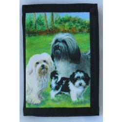 Havanese 4A trifold