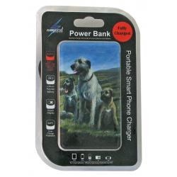 Irish wolfhound 1-pbk package