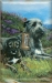 Irish Wolfhound Picture Single Light Switch Plate #3B