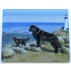 Newfoundland 4 Tempered Glass Cutting Board