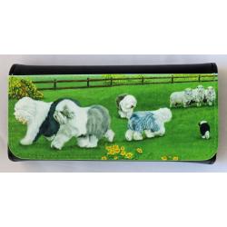 OES 2-3 glasses case