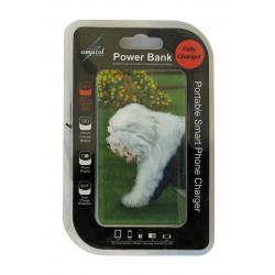 OES power bank package
