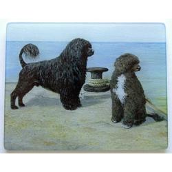 Portuguese Water Dog 1 Tempered Glass Cutting Board