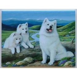 Samoyed #2 - 6X8 Ceramic Picture Tile