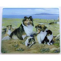 Sheltie 3 Tempered Glass Cutting Board