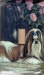 Shih Tzu Picture Single Light Switch Plate #1A