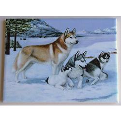 Siberian Husky #1 - 6X8 Ceramic Picture Tile