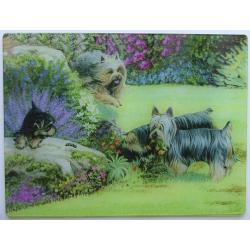 Silky Terrier Tempered Glass Cutting Board #2