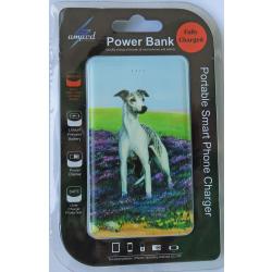 Whippet 2A powwer bank packaged