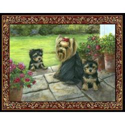 Yorkshire Terrier 3 Single Tapestry Placemat
