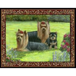 Yorkshire Terrier 4 Single Tapestry Placemat
