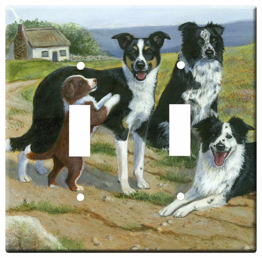 Border collie 3a-dlsp-M