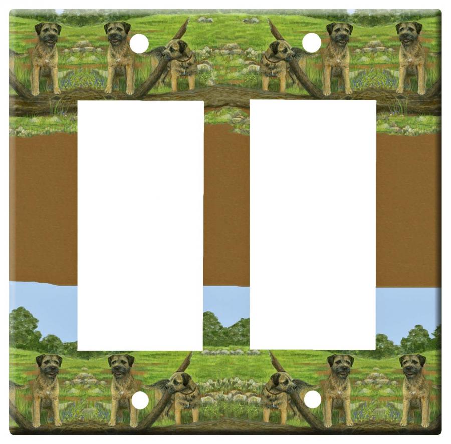 Border terrier 1a rdlsp-M