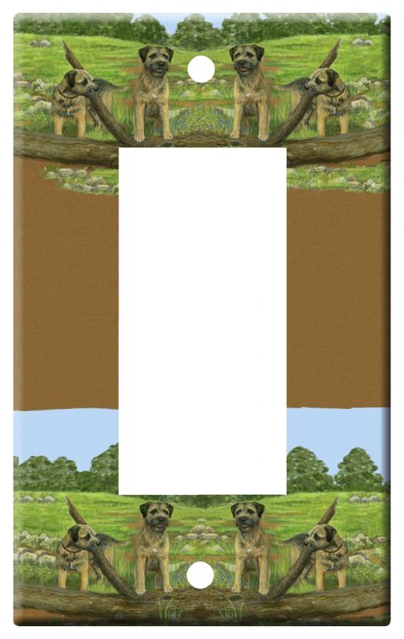 Border terrier 1a rslsp-M