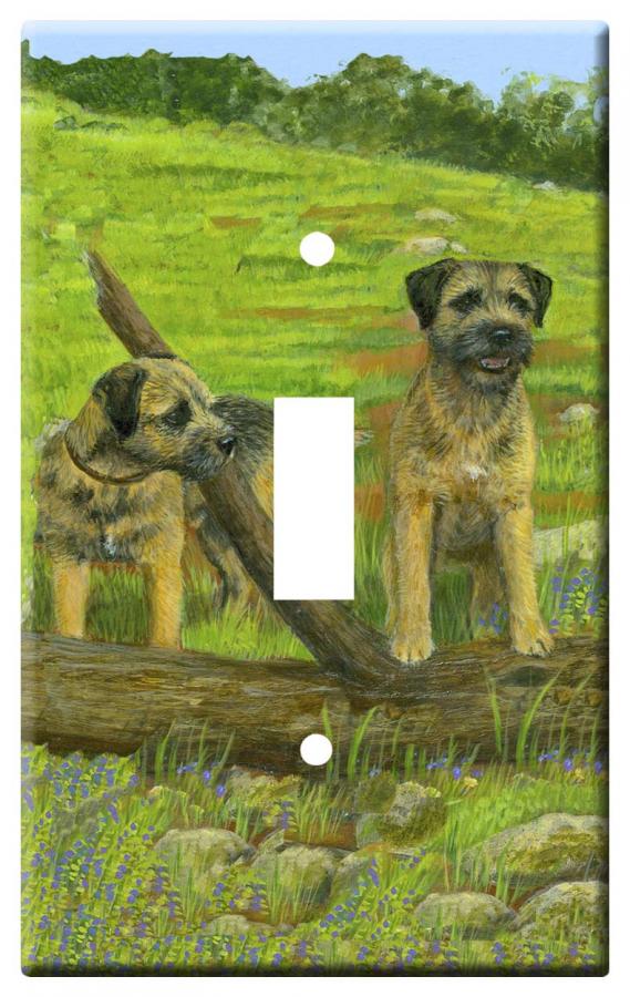 border terrier 1a slsp-M