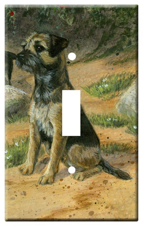 Border terrier 4c slsp-M