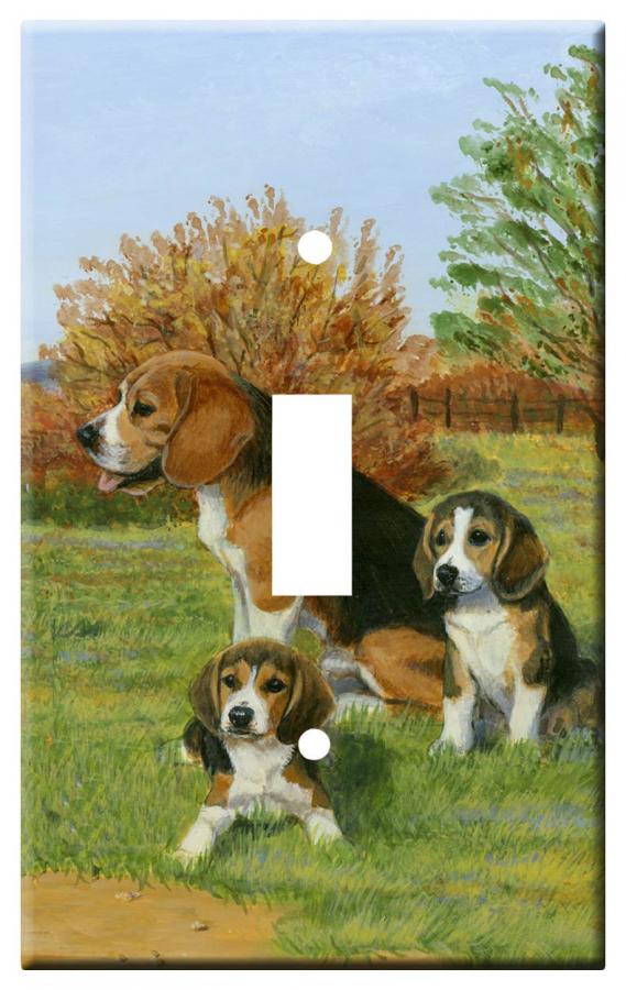 Beagle 3b-slsp-M