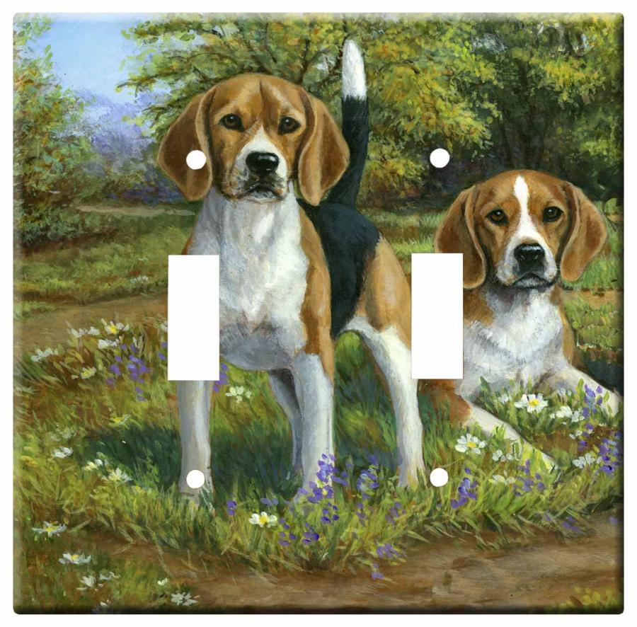 beagle 4a dlsp-M