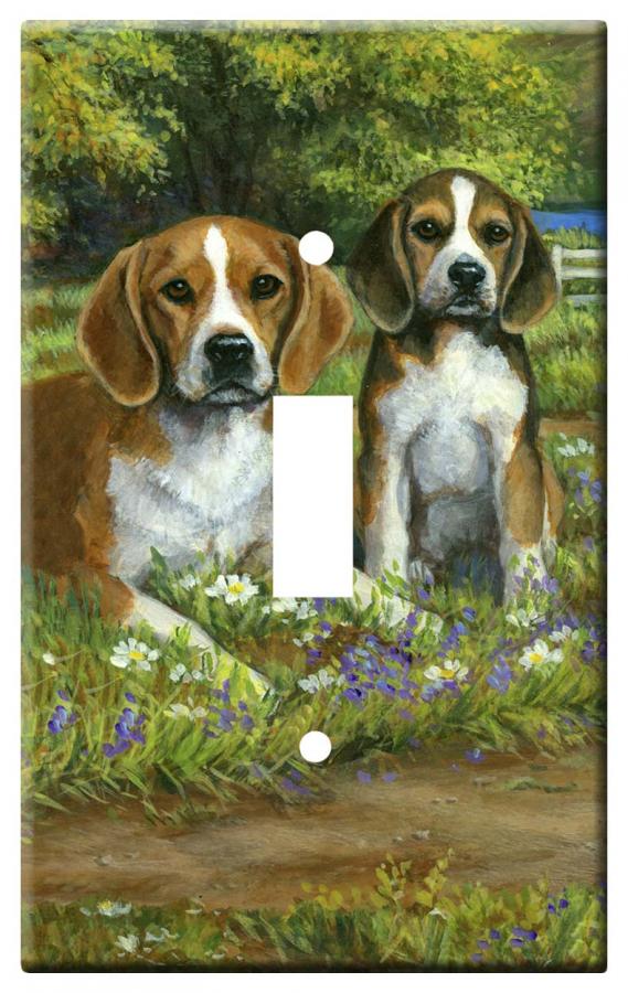 Beagle 4B slsp-M