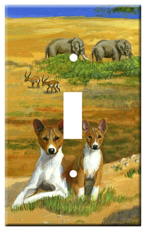 Basenji 3b-slsp-M