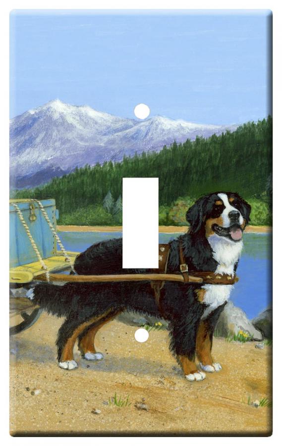 Berner 1A SLSP-M