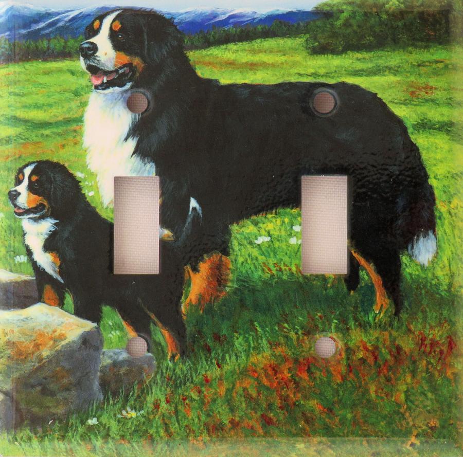 Berner 5A DLSP-M