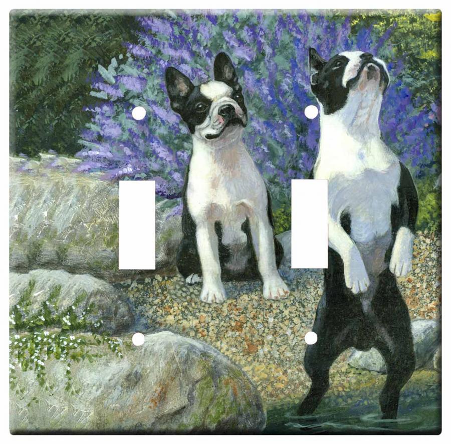 Boston terrier 1a-dlsp-M