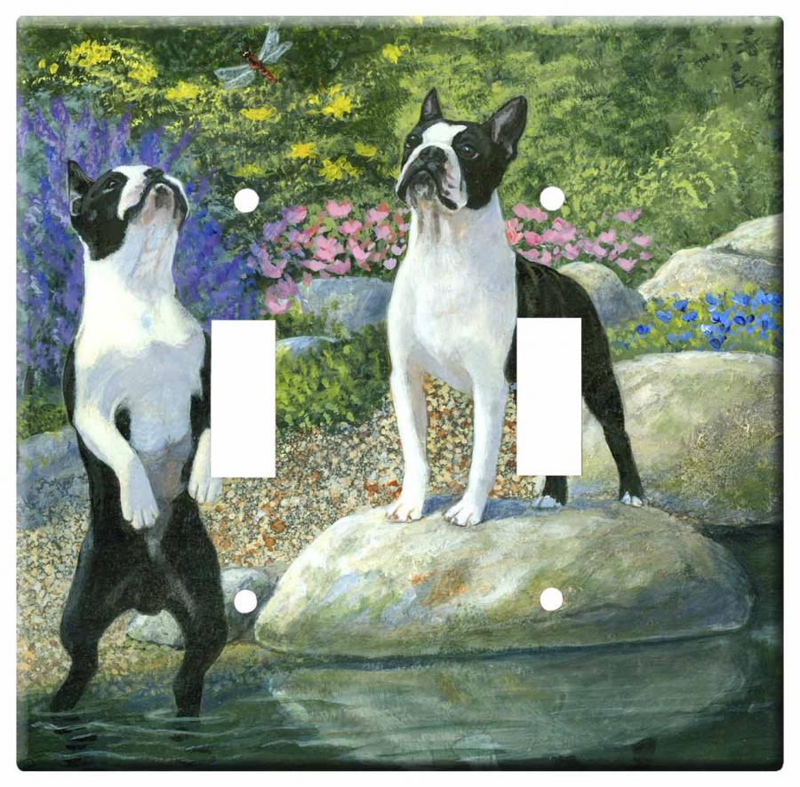 boston terrier 1b dlsp-M